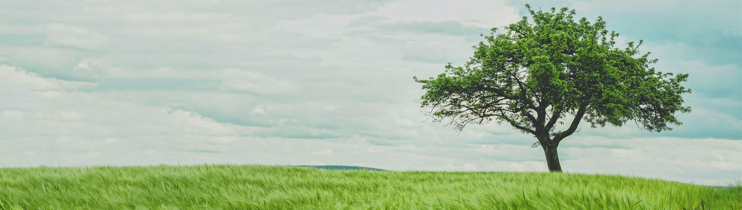 banner tanatorios con servicios